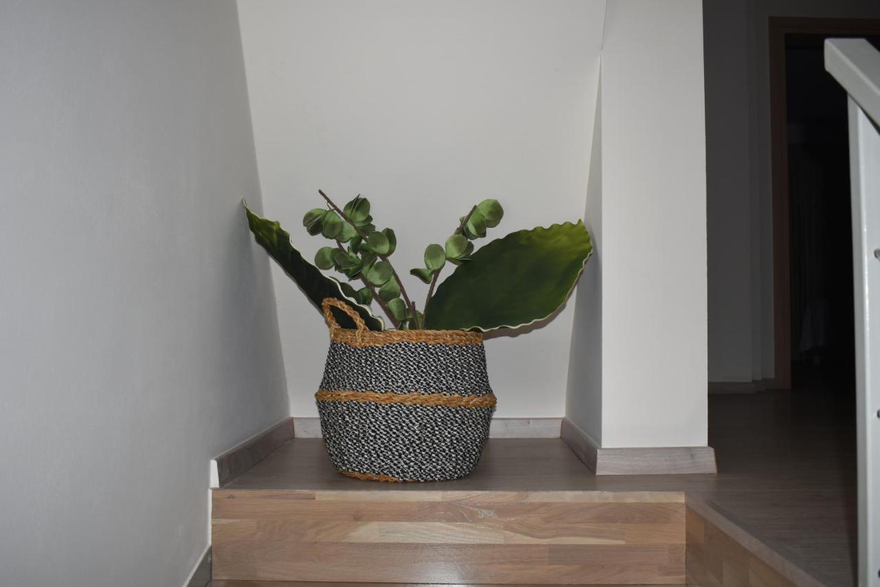 Gallery Art Apartment ハニア エクステリア 写真